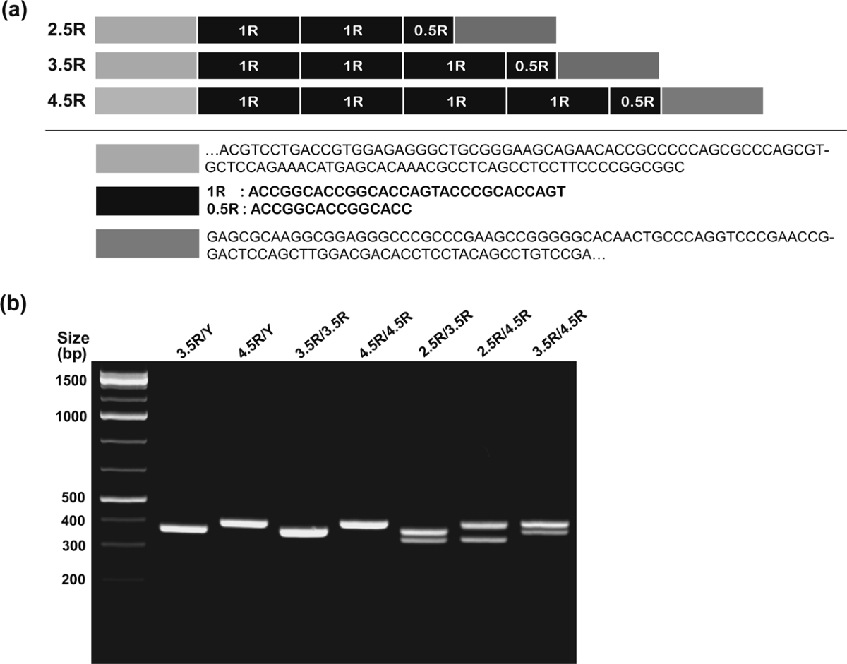 MAOA variants differ in oscillatory EEG & ECG activities in response to aggression-inducing stimuli | Scientific Reports recognition-of-bach1-quaternary-structure-degrons-by-two-f-box-proteins-under-oxidative-stress-cell