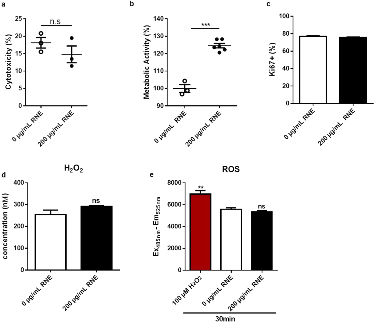 R. nukuhivensis acts by reinforcing skin barrier function, boosting skin  immunity and by inhibiting IL-22 induced keratinocyte hyperproliferation |  Scientific Reports