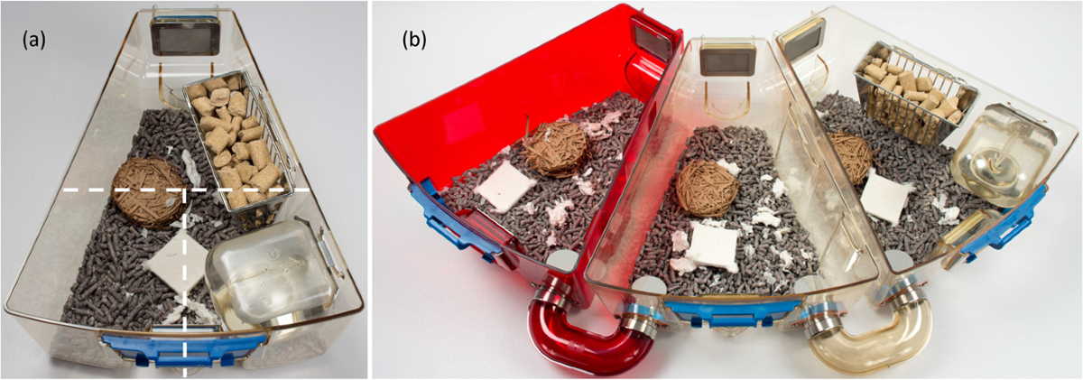 Siberian Mouse Hd Blowjob 