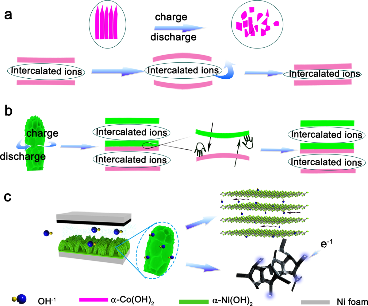 Heterojunction α-Co(OH)2/α-Ni(OH)2 nanorods arrays on Ni foam with high  utilization rate and excellent structure stability for high-performance  supercapacitor | Scientific Reports