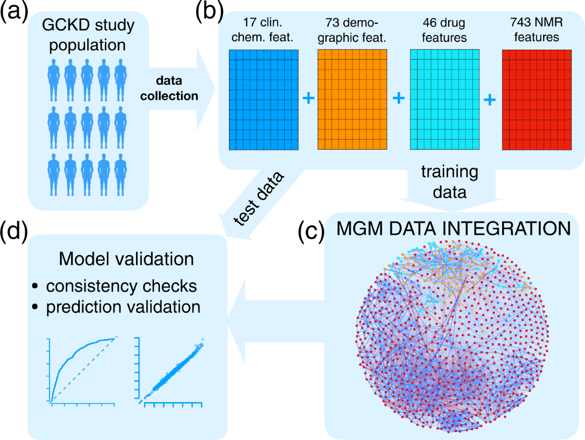 A multi-source data integration approach reveals novel associations between  metabolites and renal outcomes in the German Chronic Kidney Disease study |  Scientific Reports
