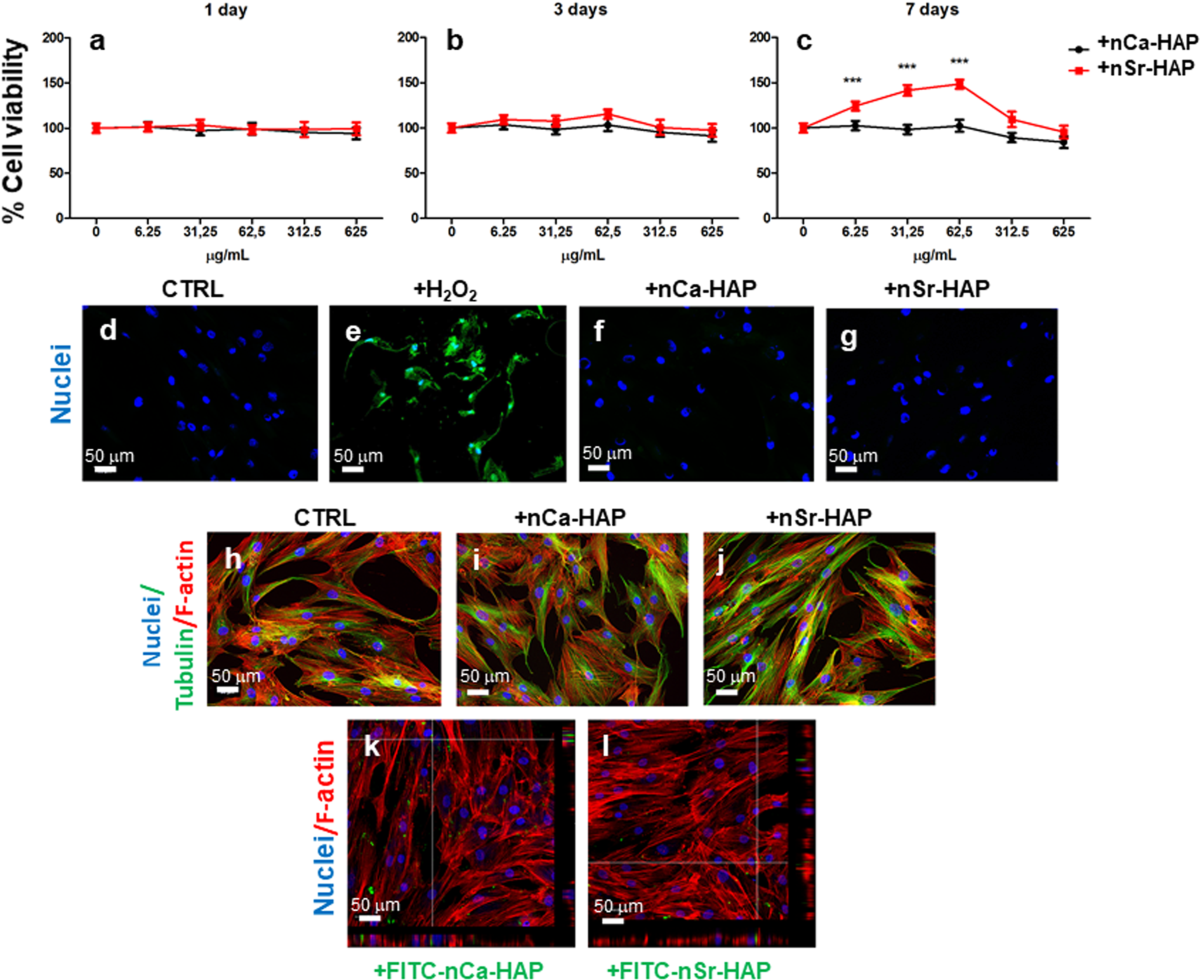 The NATO project: nanoparticle-based countermeasures for  microgravity-induced osteoporosis | Scientific Reports, image size:1200x980