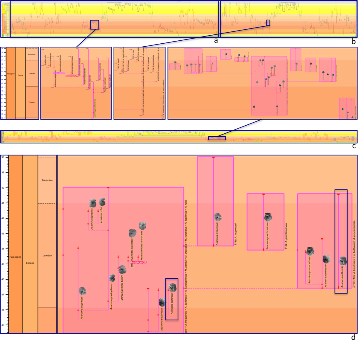 Integrated species–phenon trees: visualizing infraspecific diversity within  lineages | Scientific Reports