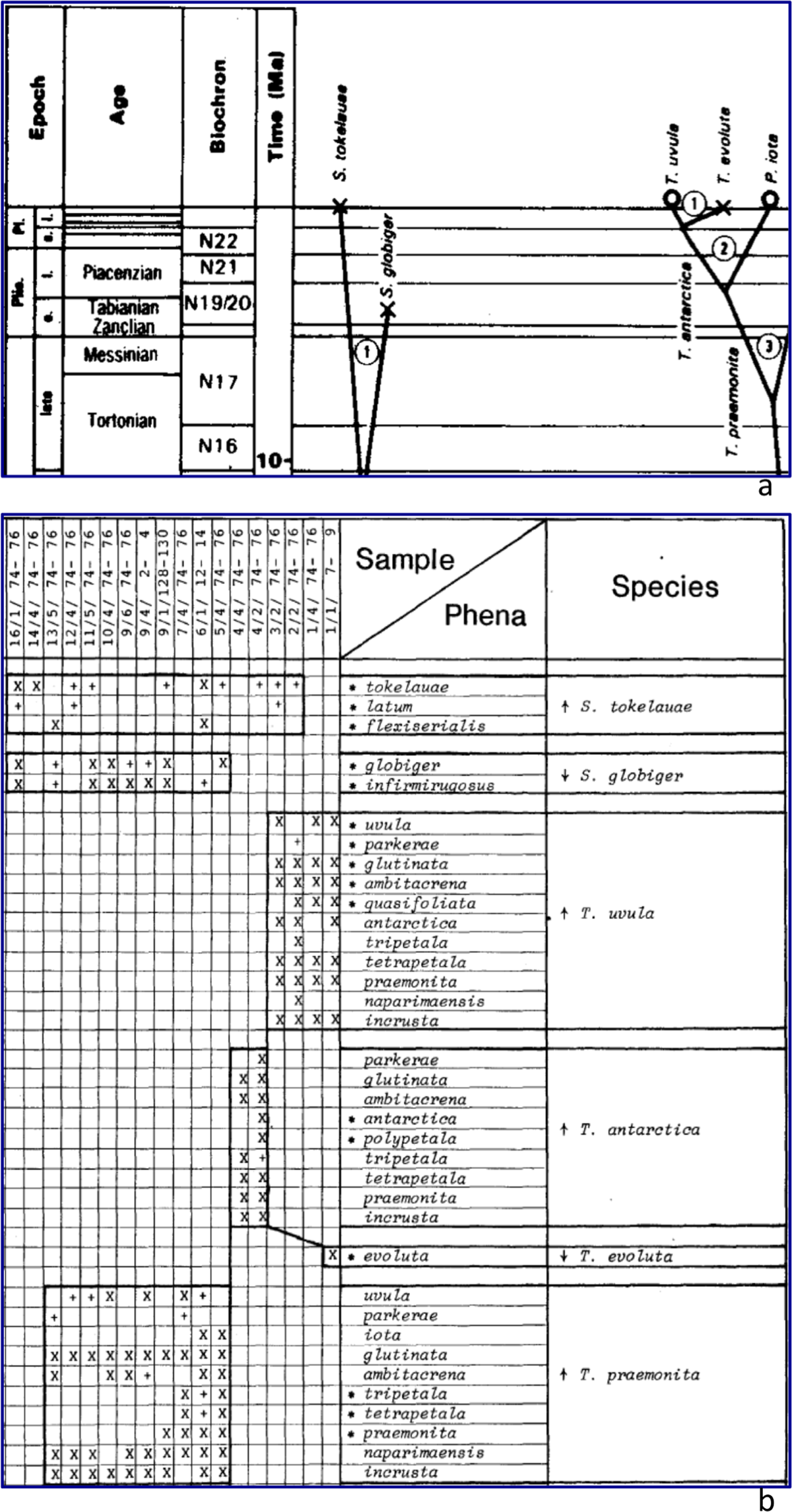 Integrated species–phenon trees: visualizing infraspecific diversity within  lineages | Scientific Reports