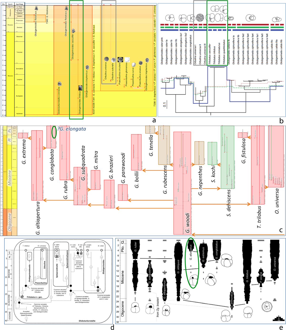 Integrated species–phenon trees: visualizing infraspecific diversity within  lineages | Scientific Reports