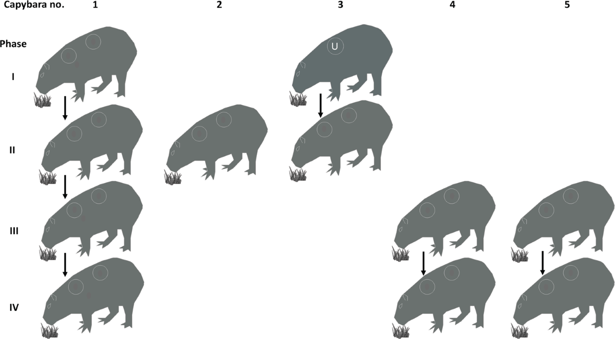 Illustration of the water and land resources Stock Vector Image \u0026 Art -  Alamy, image size:1200x662