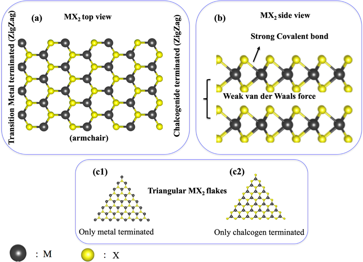 Controlled edge dependent stacking of WS2-WS2 Homo- and WS2-WSe2  Hetero-structures: A Computational Study | Scientific Reports