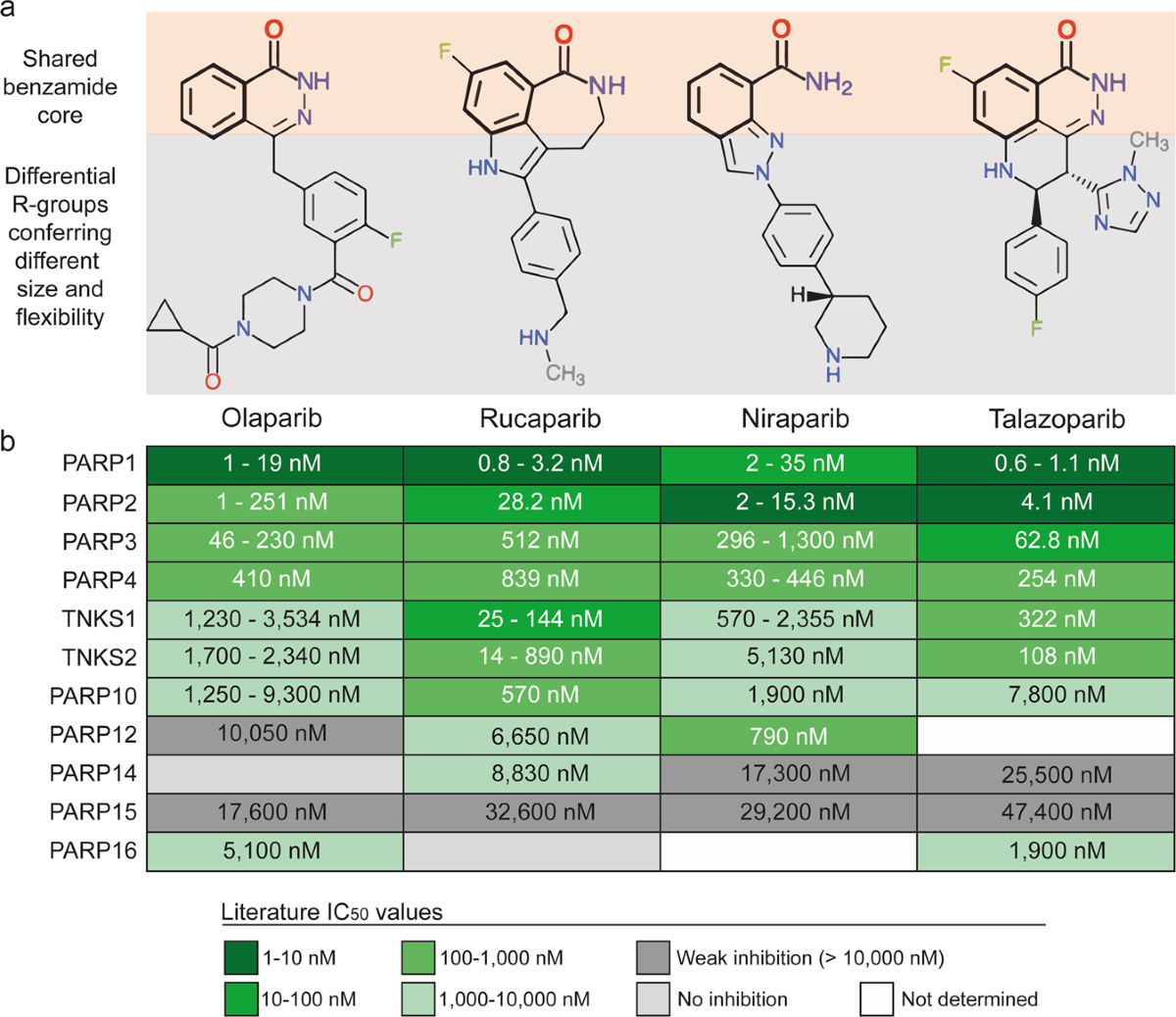 Picture of PARP inhibitor