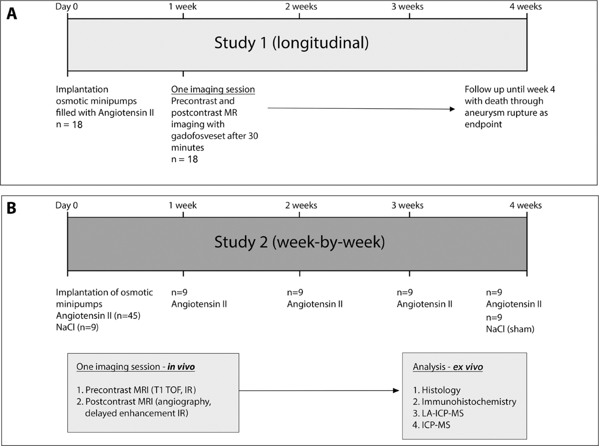 Noninvasive imaging of vascular permeability to predict the risk of rupture  in abdominal aortic aneurysms using an albumin-binding probe | Scientific  Reports