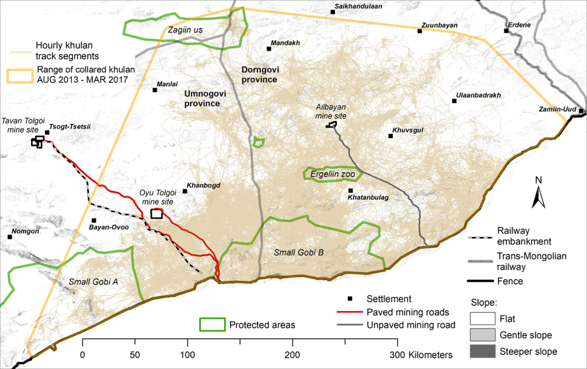 Hidden treasure of the Gobi: understanding how water limits range use of  khulan in the Mongolian Gobi | Scientific Reports