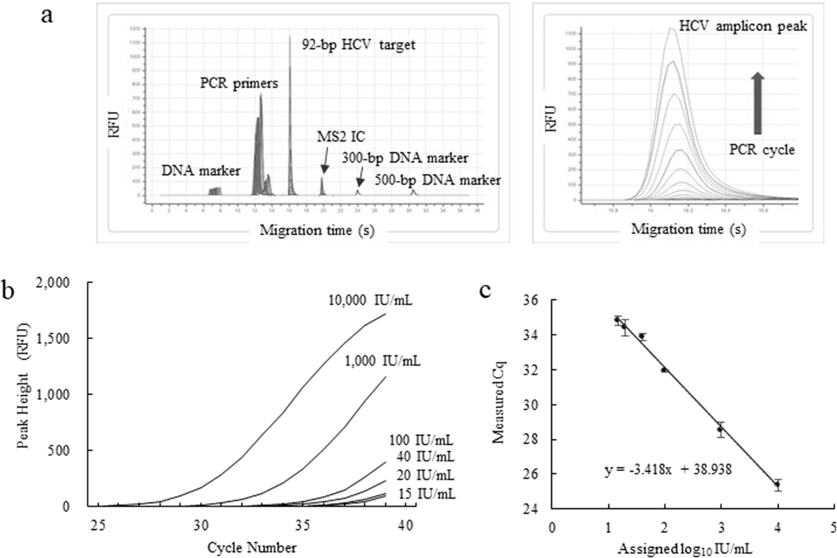 hepatitis c viral rna genotype lipa labcorp Schematic representation of the virus life cycle. (1) The Fully automated rapid quantification of