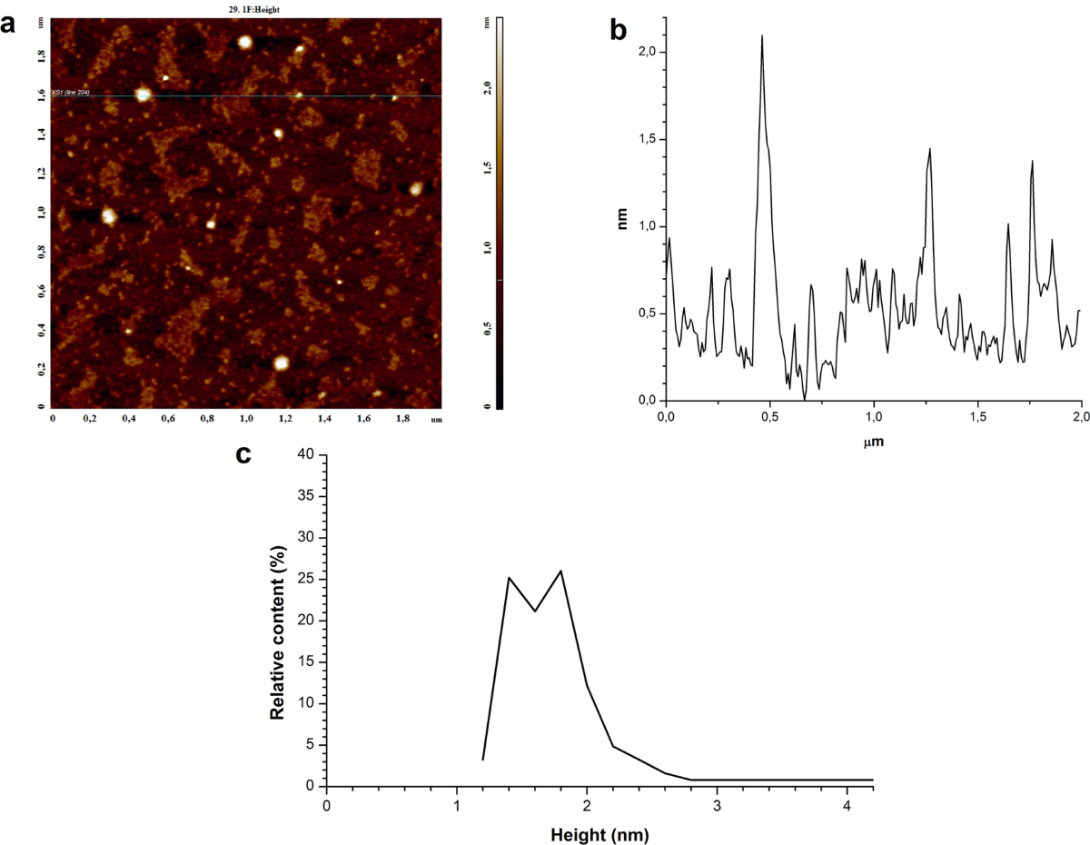AFM Imaging of Protein Aggregation in Studying the Impact of Knotted  Electromagnetic Field on A Peroxidase | Scientific Reports