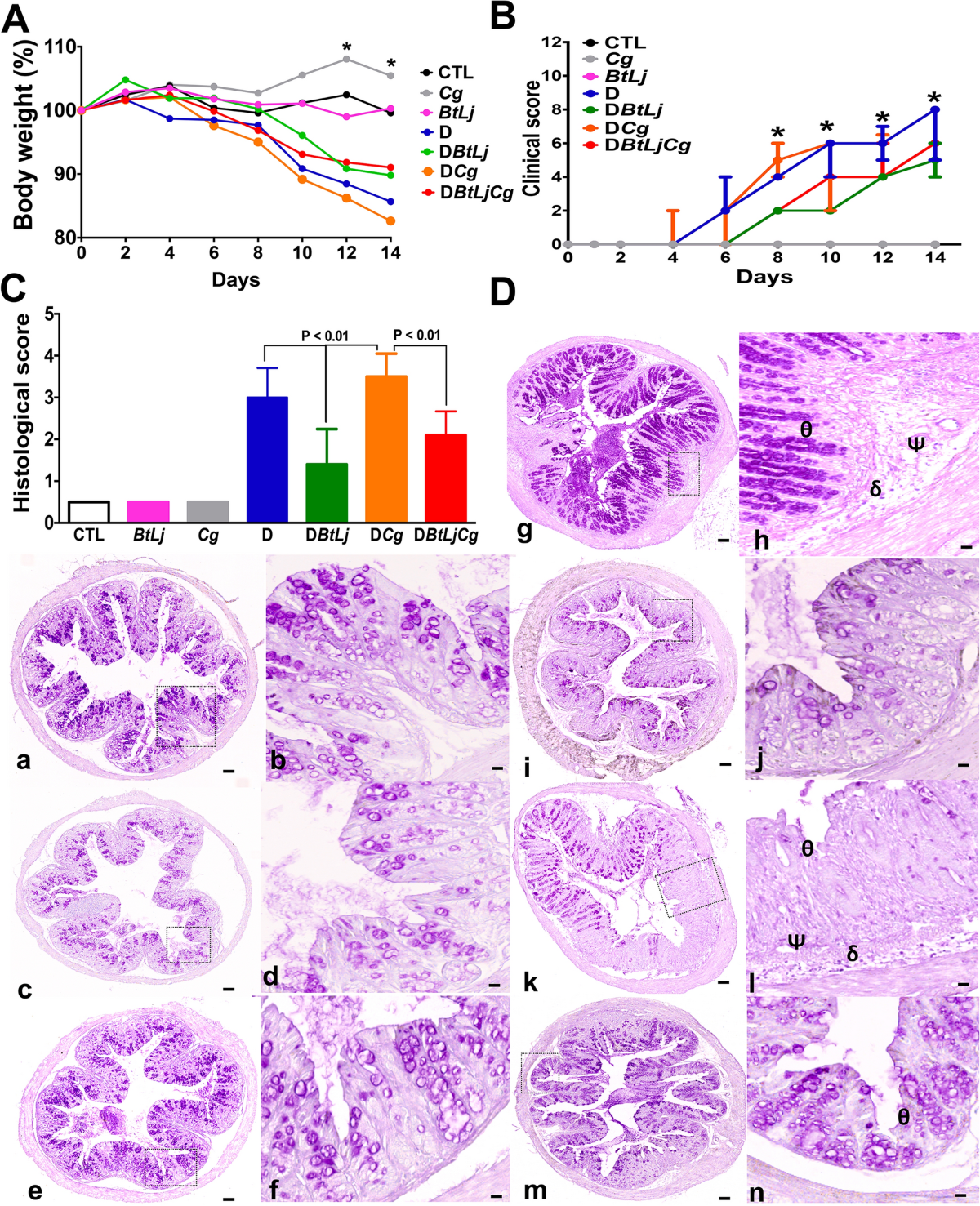 Bacteroides thetaiotaomicron and Lactobacillus johnsonii modulate  intestinal inflammation and eliminate fungi via enzymatic hydrolysis of the  fungal cell wall | Scientific Reports