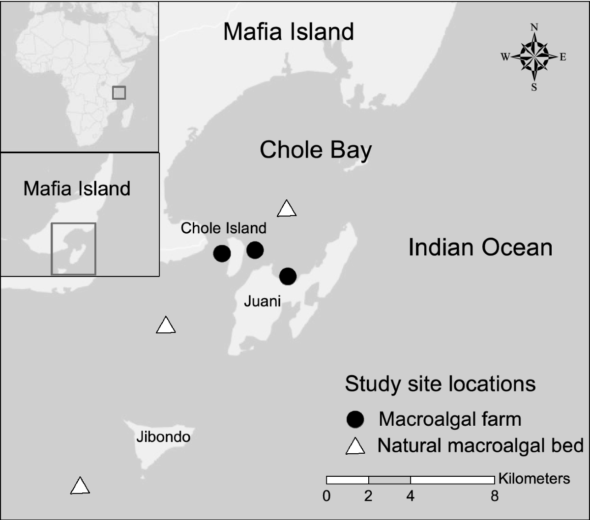 Altered tropical seascapes influence patterns of fish assemblage and  ecological functions in the Western Indian Ocean | Scientific Reports