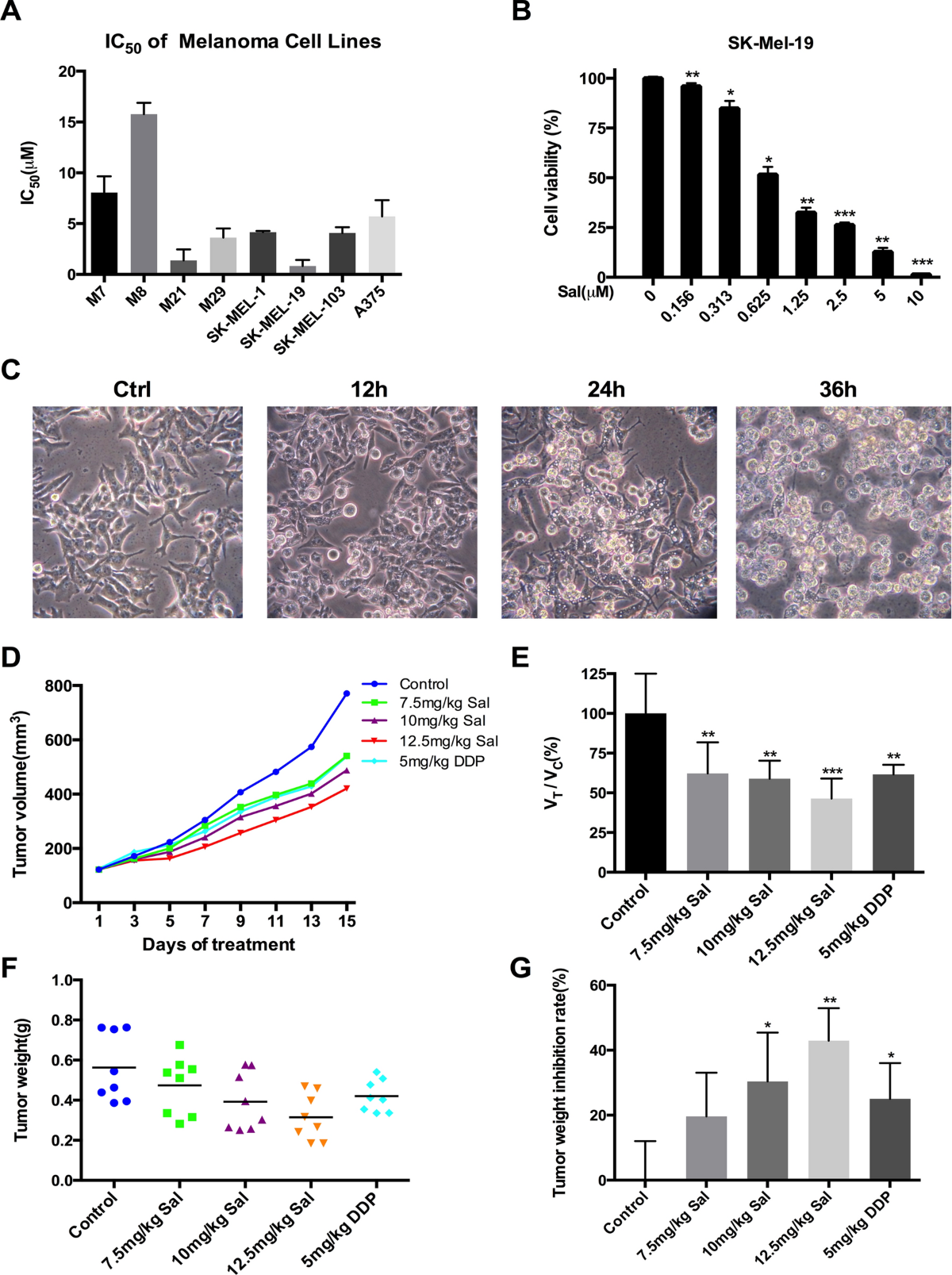  lsm nude ls-020 Wnt-driven LARGE2 mediates laminin-adhesive O-glycosylation in human  colonic epithelial cells and colorectal cancer | Cell Communication and  Signaling | Full Text