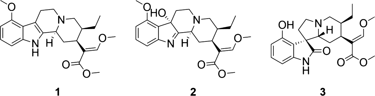 kratom mitragynine interactions with bpc-157 Chemical composition and biological effects of (Mitragyna speciosa): In vitro studies implications for efficacy and drug Pharmacokinetic Interaction of Kratom and