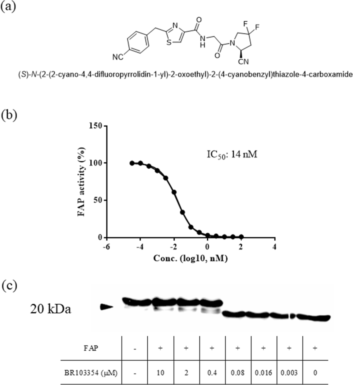 Discovery of a novel fibroblast activation protein (FAP) inhibitor,  BR103354, with anti-diabetic and anti-steatotic effects | Scientific Reports