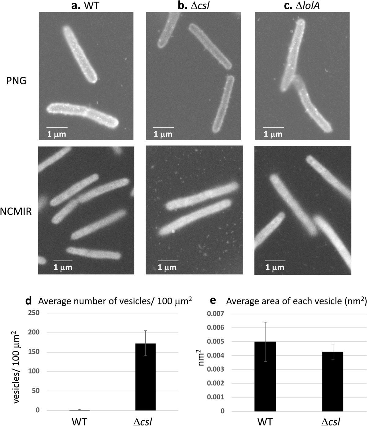 Colony spreading of the gliding bacterium Flavobacterium johnsoniae in the  absence of the motility adhesin SprB | Scientific Reports