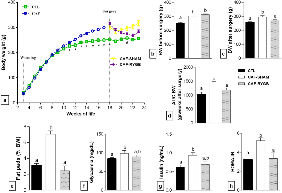 Maternal Roux en Y gastric bypass surgery reduces lipid deposition  