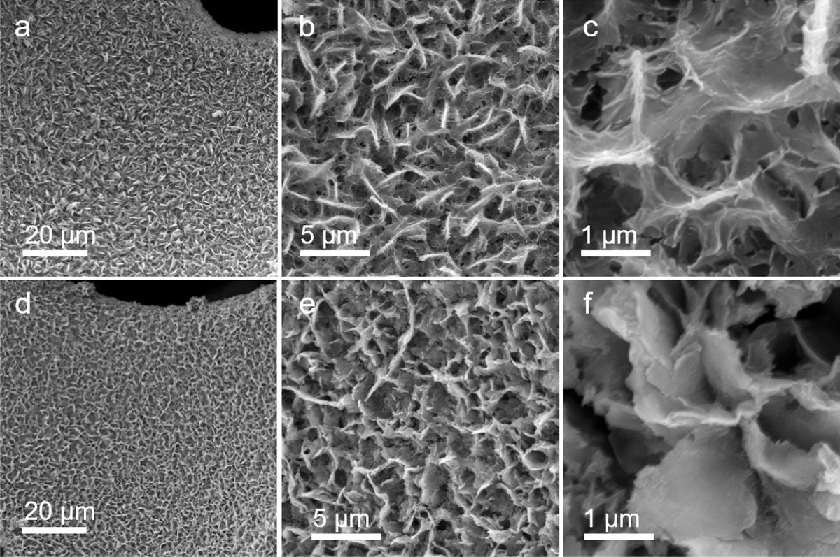 Ni2P nanocrystals embedded Ni-MOF nanosheets supported on nickel foam as  bifunctional electrocatalyst for urea electrolysis | Scientific Reports