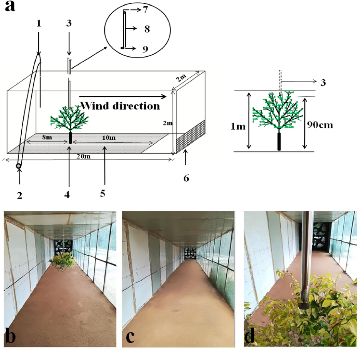 PDF) Dispersal and competitive release affect the management of