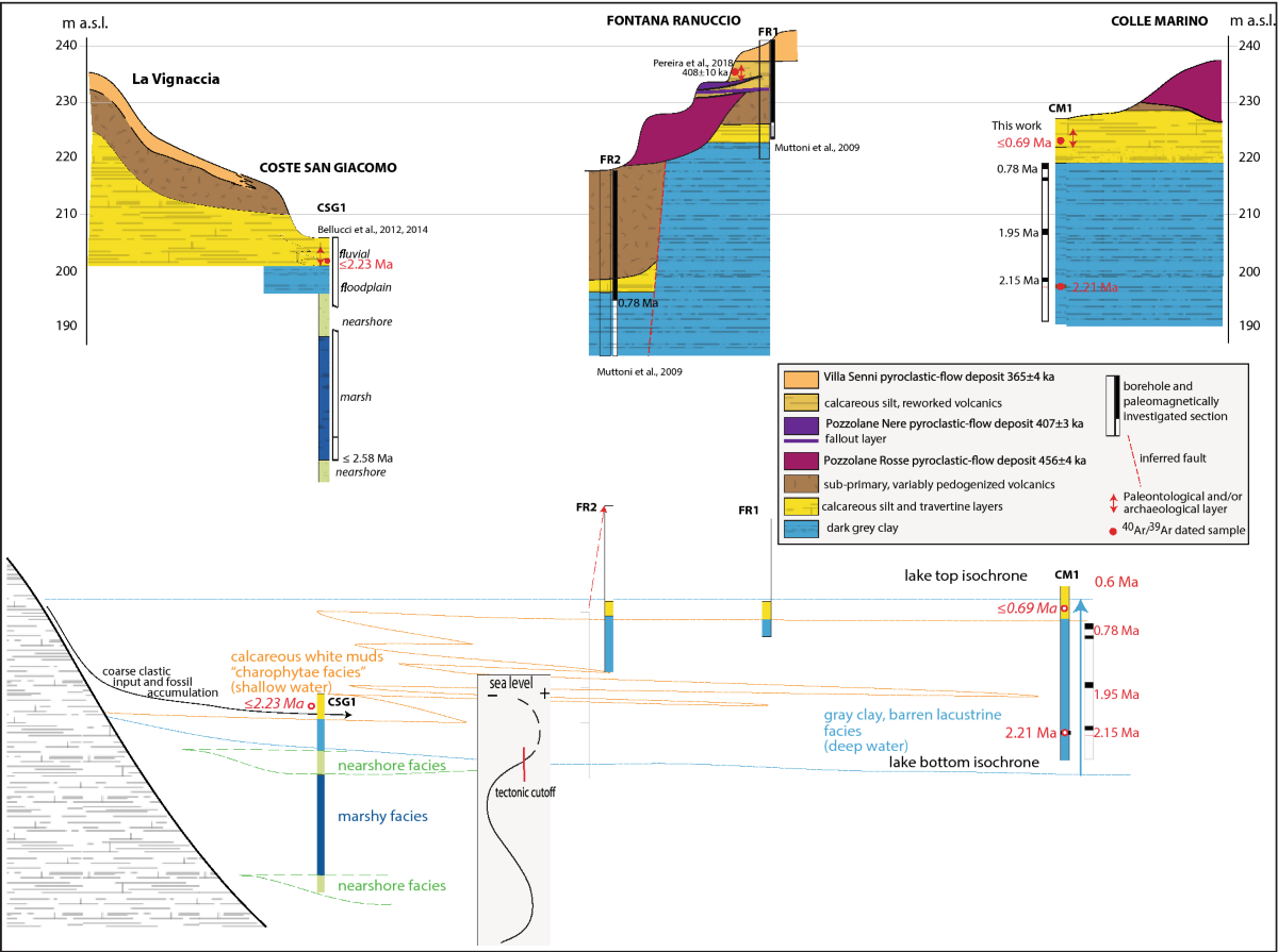 Environmental evolution, faunal and human occupation since 2 Ma in the  Anagni basin, central Italy | Scientific Reports, image size:1200x895