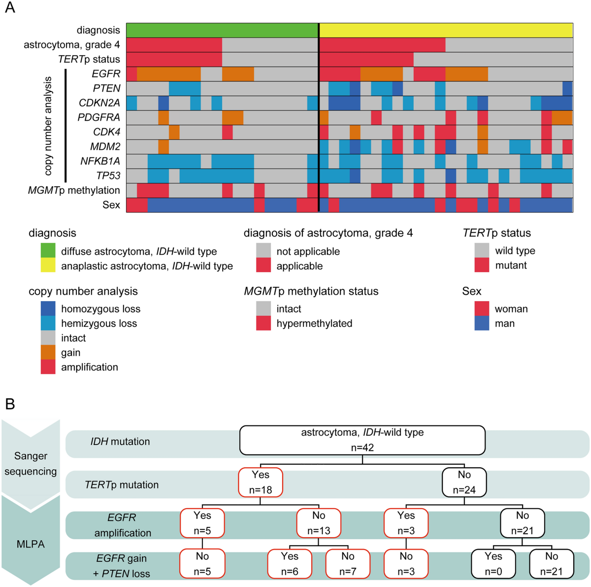 Prognostic stratification for IDH-wild-type lower-grade astrocytoma by  Sanger sequencing and copy-number alteration analysis with MLPA |  Scientific Reports