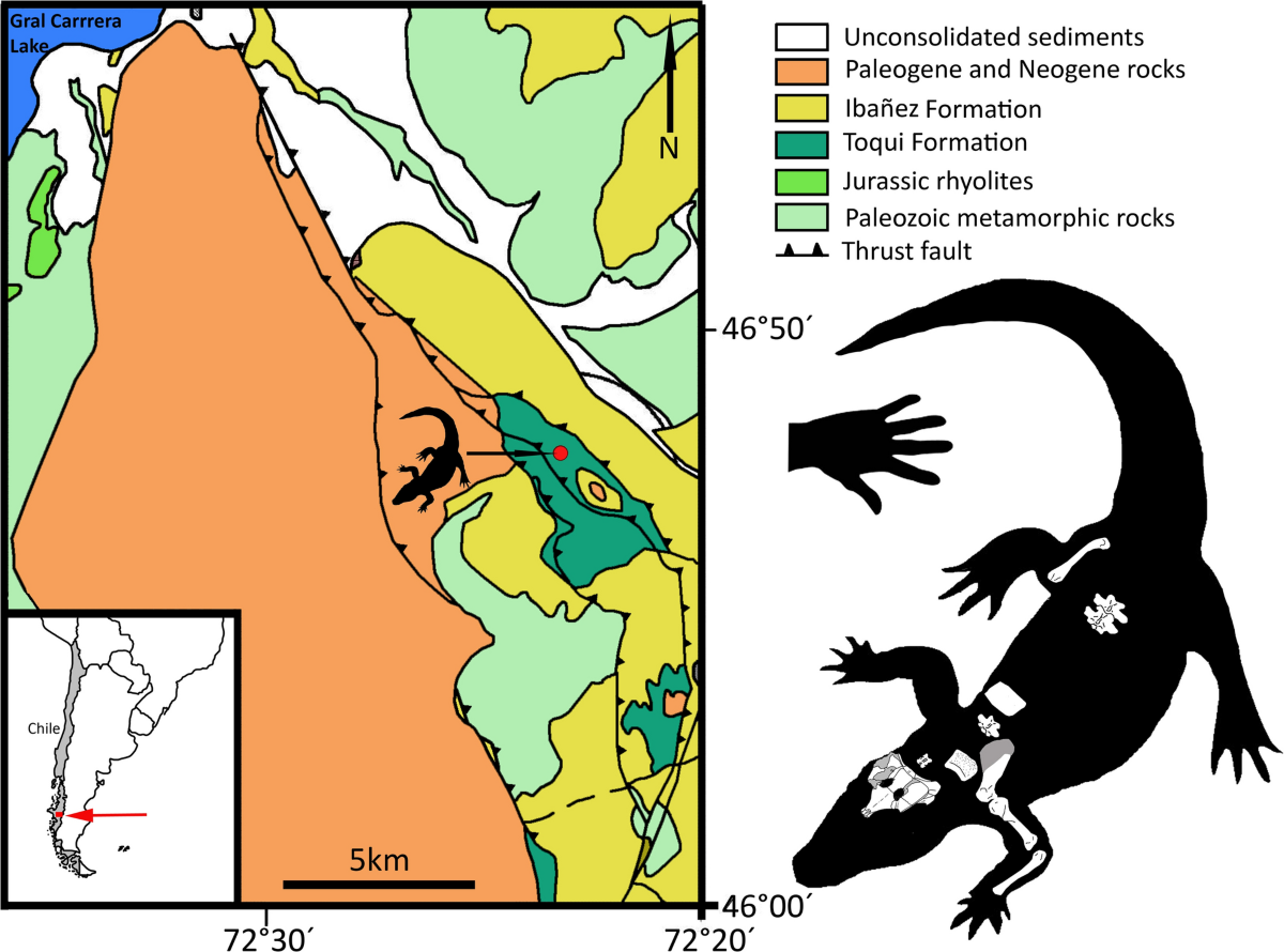 Figure 1 from Leardi et al. (2021): geographic and stratigraphic location of the Burkesuchus holotype in the Toqui Formation, near the Chilesaurus sites.