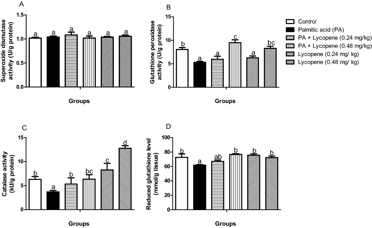 Lycopene suppresses palmitic acid-induced brain oxidative stress,  hyperactivity of some neuro-signalling enzymes, and inflammation in female  Wistar rat | Scientific Reports