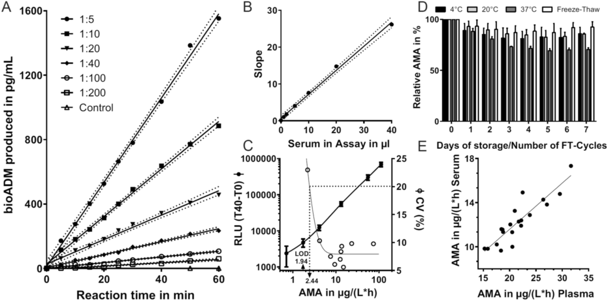 l carnitina que es en espaol La L-Carnitina es un compuesto de aminocidos que se produce mediante la  lisina y la metionina y puede actuar como quemador de grasa muy potente, ya  que es el responsable del transporte