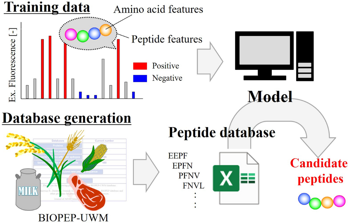 Peptides Database