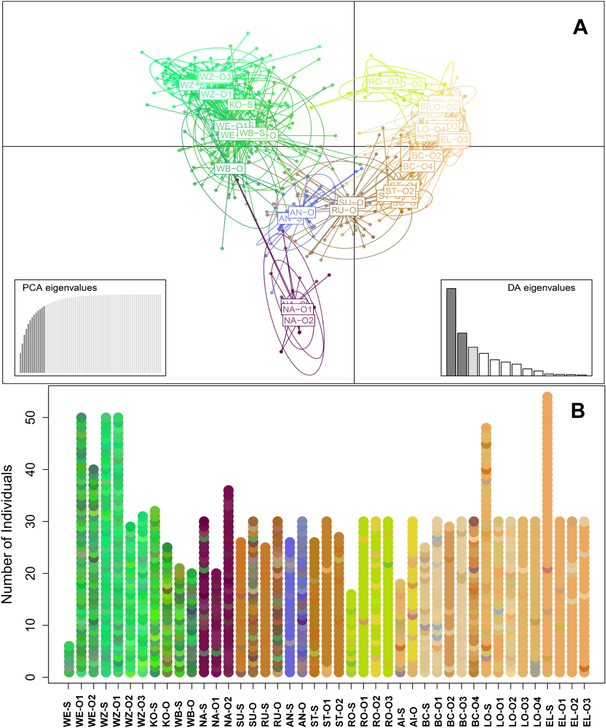 Securing genetic integrity in freshwater pearl mussel propagation and  captive breeding | Scientific Reports