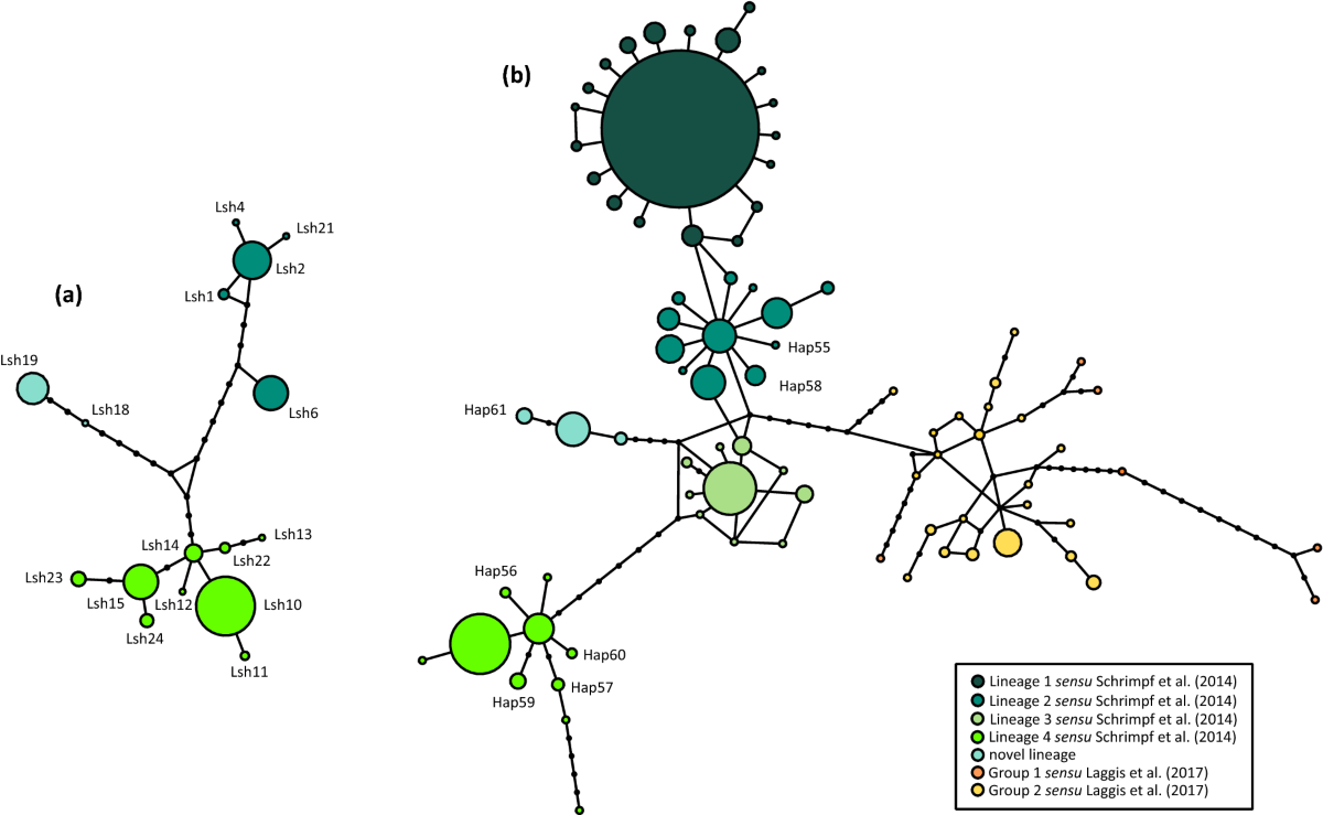 Integrating population genetics and species distribution modelling to guide  conservation of the noble crayfish, Astacus astacus, in Croatia |  Scientific Reports
