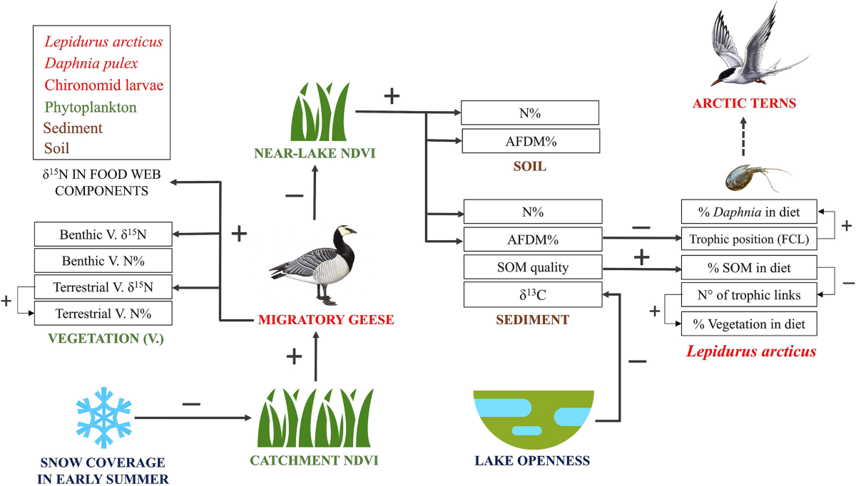 Climate-related drivers of nutrient inputs and food web structure
