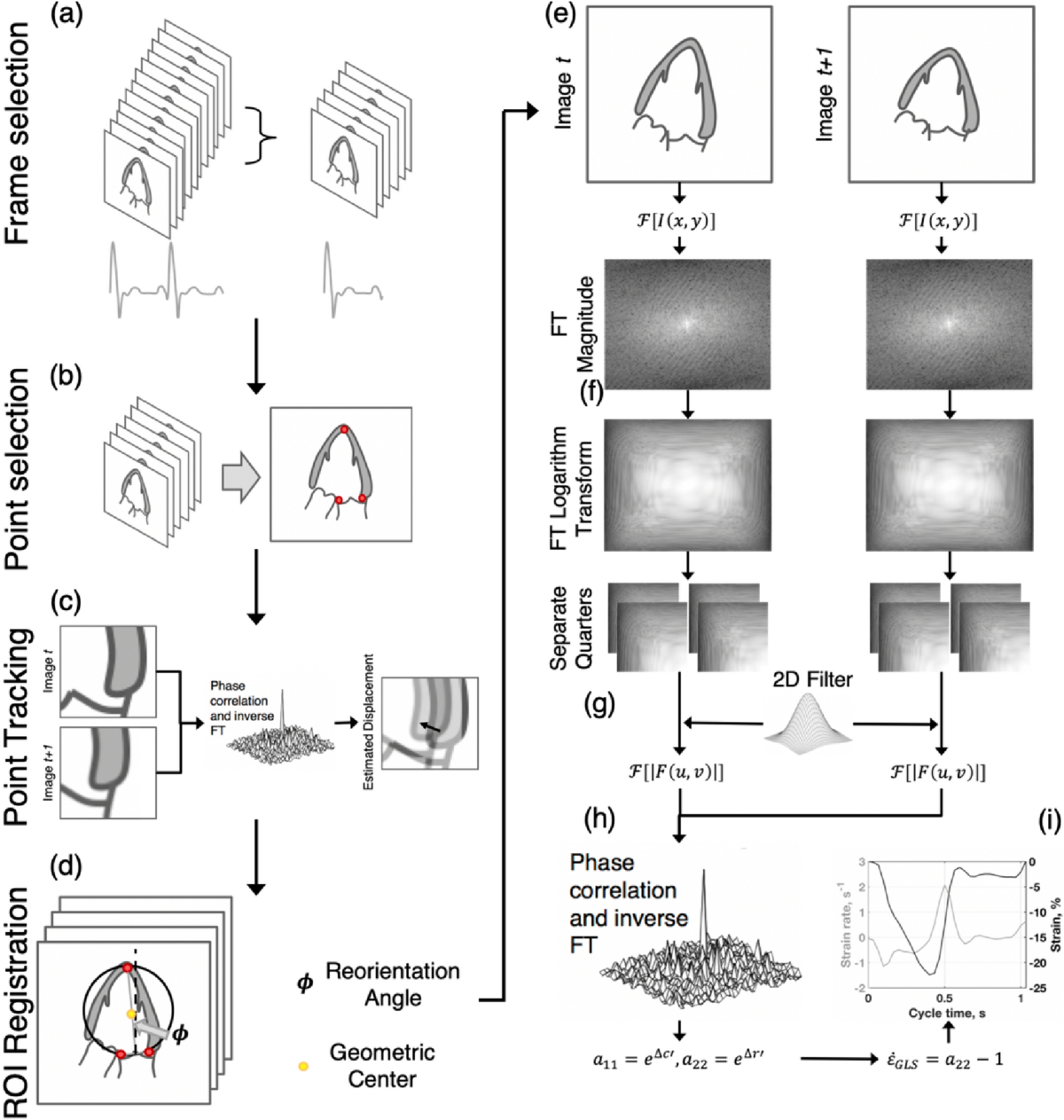 A method for direct estimation of left ventricular global 