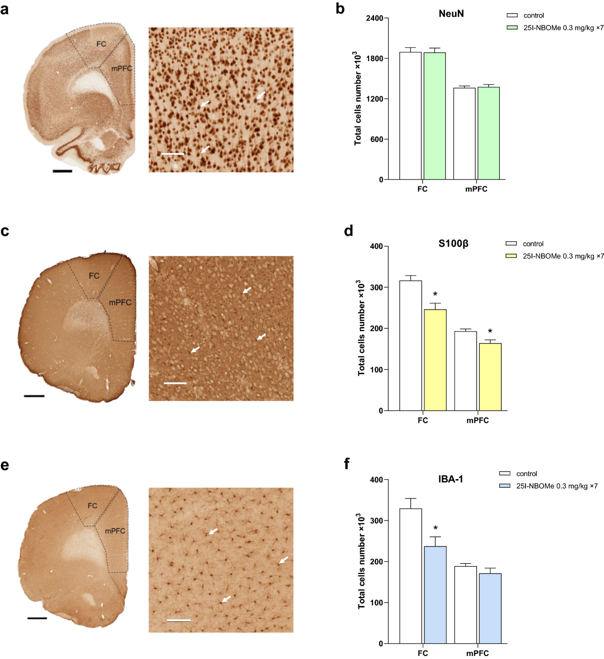 Neurotoxicological profile of the hallucinogenic compound 25I-NBOMe |  Scientific Reports