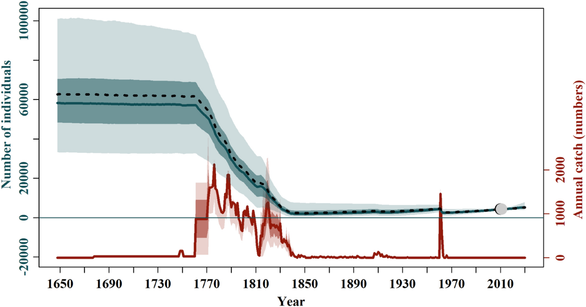 REPRODUCTION, GROWTH AND AGE OF SOUTHERN FIN WHALES By R. M. Laws (Plates  IV-VII and Text-figs. 1-60) GENERAL CONSIDERATIONS Introduction In his  paper on the southern stocks of whalebone whales, Mackintosh (