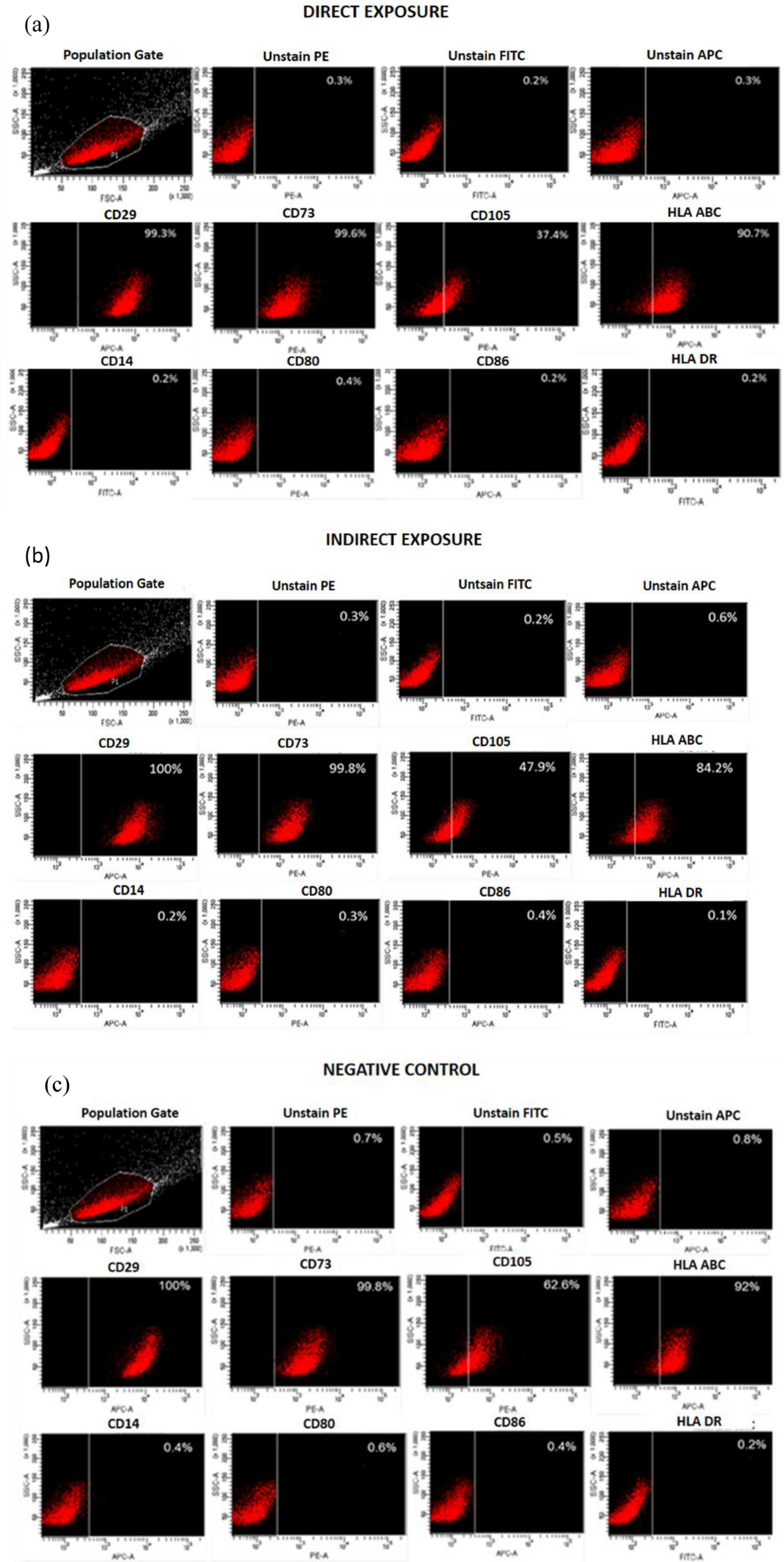 Magnetic exposure using Samarium Cobalt (SmCO5) increased proliferation and  stemness of human Umbilical Cord Mesenchymal Stem Cells (hUC-MSCs) |  Scientific Reports