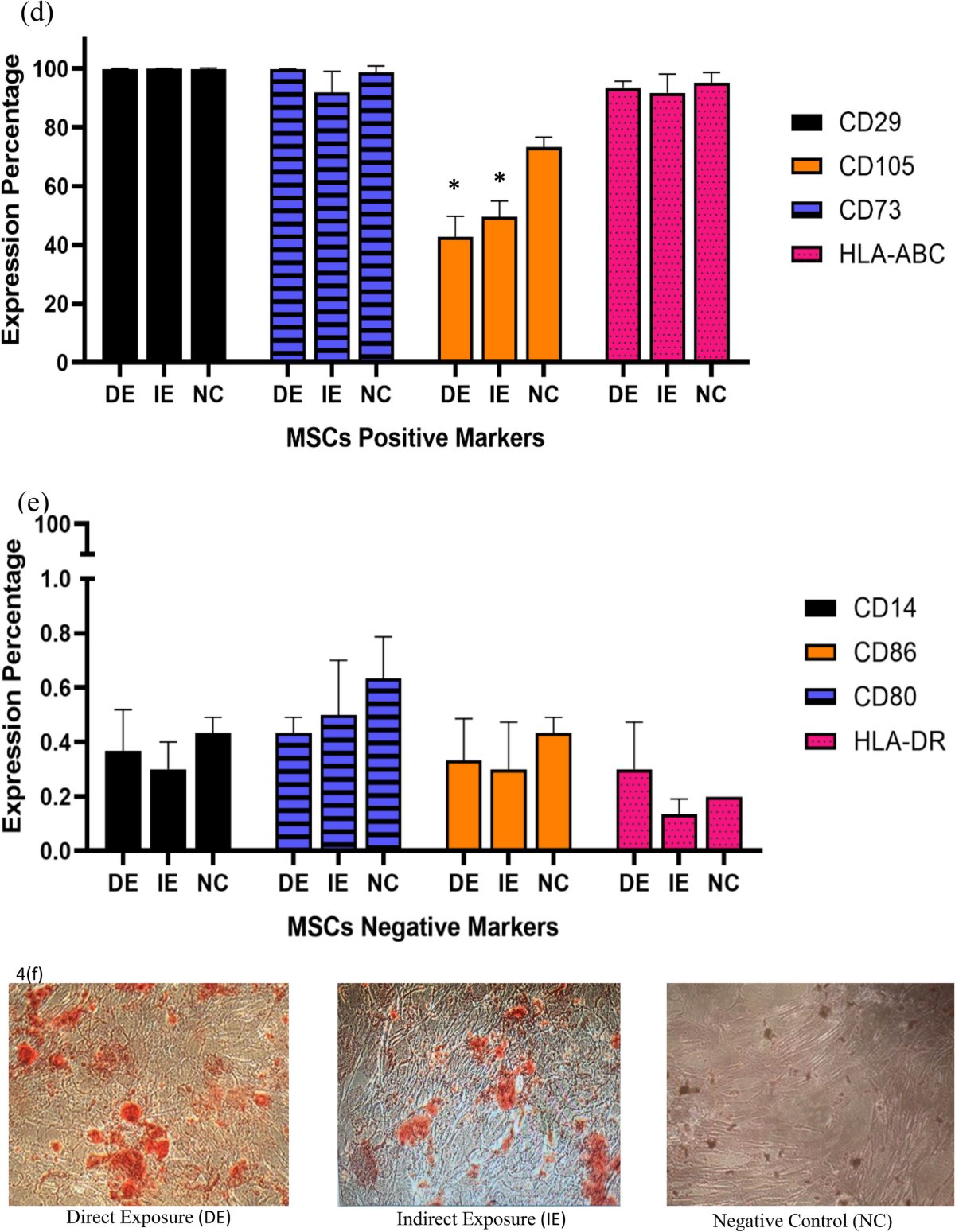 Magnetic exposure using Samarium Cobalt (SmCO5) increased proliferation and  stemness of human Umbilical Cord Mesenchymal Stem Cells (hUC-MSCs) |  Scientific Reports