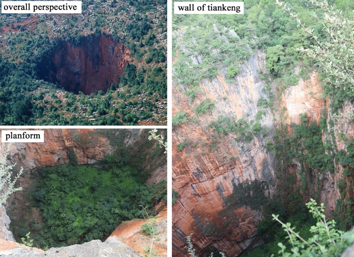 Original karst tiankeng with underground virgin forest as an inaccessible  refugia originated from a degraded surface flora in Yunnan, China |  Scientific Reports, image size:1200x872