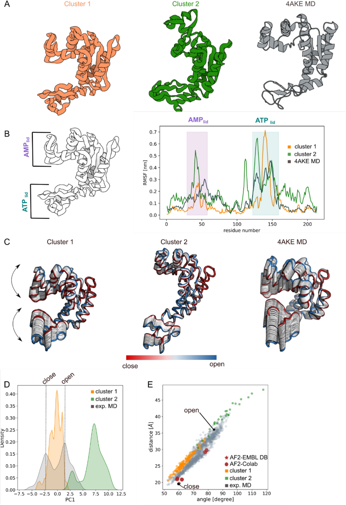 Machine learning/molecular dynamic protein structure prediction approach to  investigate the protein conformational ensemble