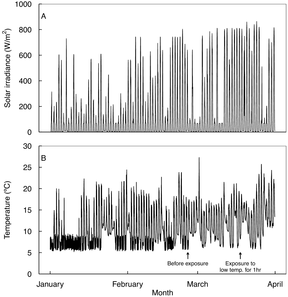 Photosynthetic response and antioxidative activity of 'Hass' avocado cultivar treated with short-term low temperature