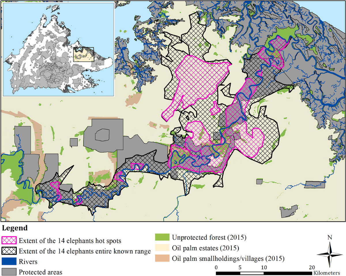 Understanding the spatial distribution and hot spots of collared Bornean  elephants in a multi-use landscape | Scientific Reports