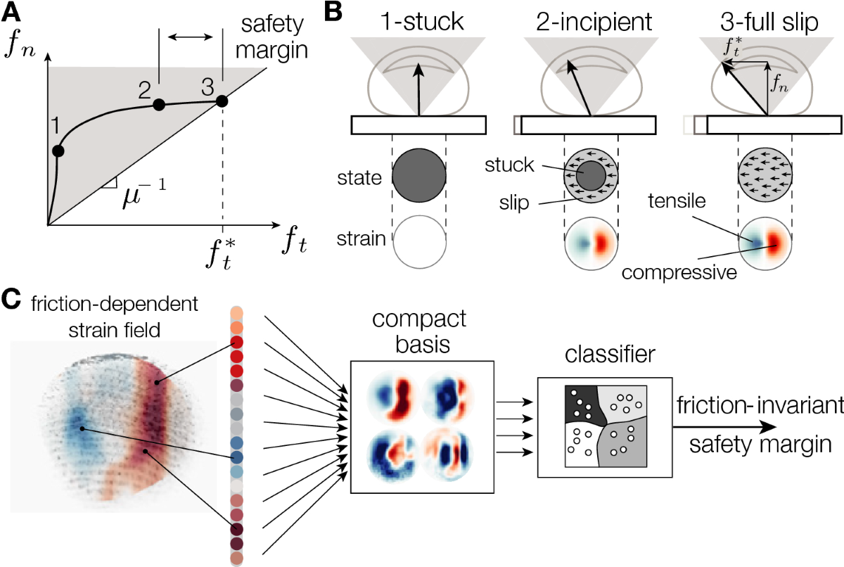 Efficient tactile encoding of object slippage | Scientific Reports
