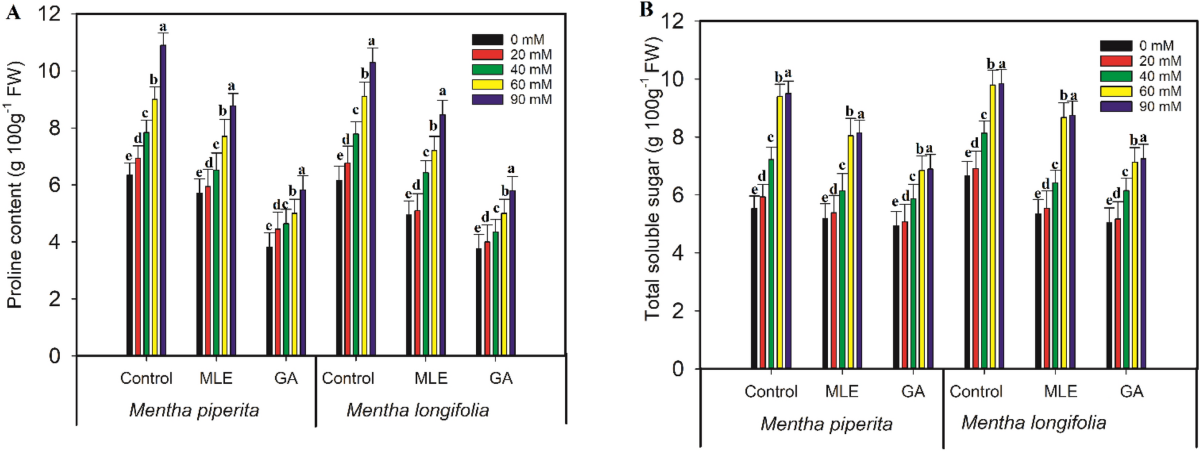 Moringa leaf extract and green algae improve the growth and physiological  attributes of Mentha species under salt stress | Scientific Reports