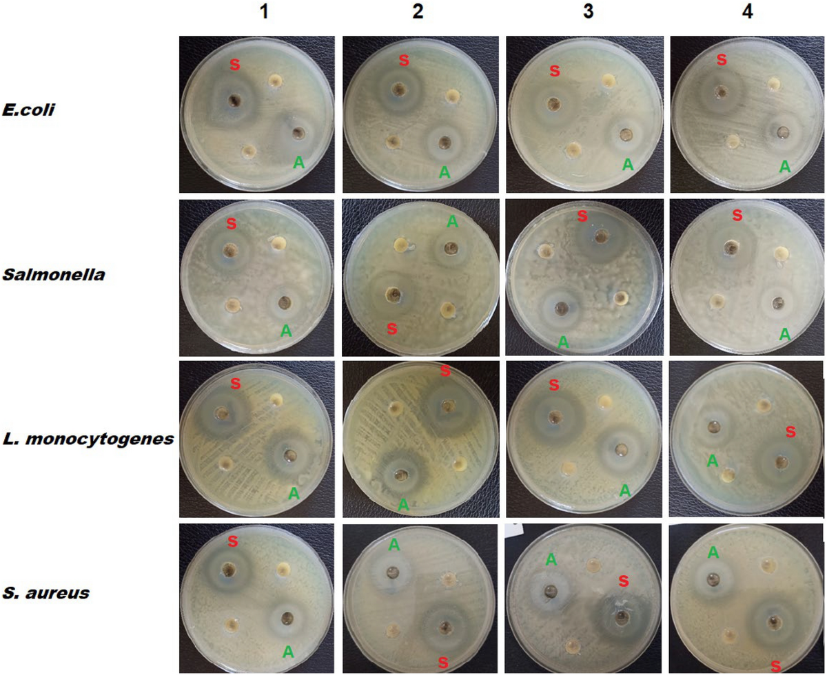 Mapa de bandeiras monarquistas da Ásia : r/monarchism, image size:1200x980