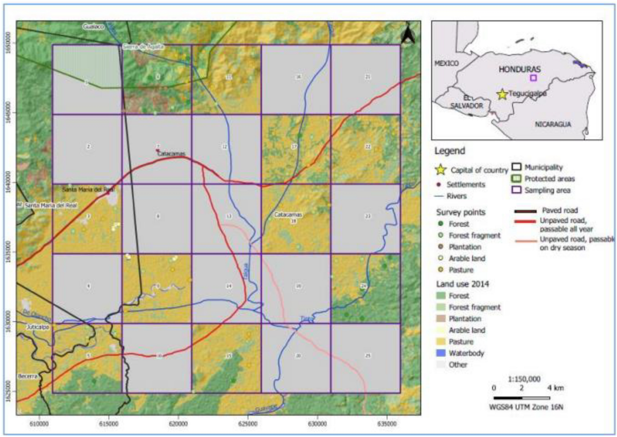 Tree diversity in a tropical agricultural-forest mosaic landscape in  Honduras | Scientific Reports