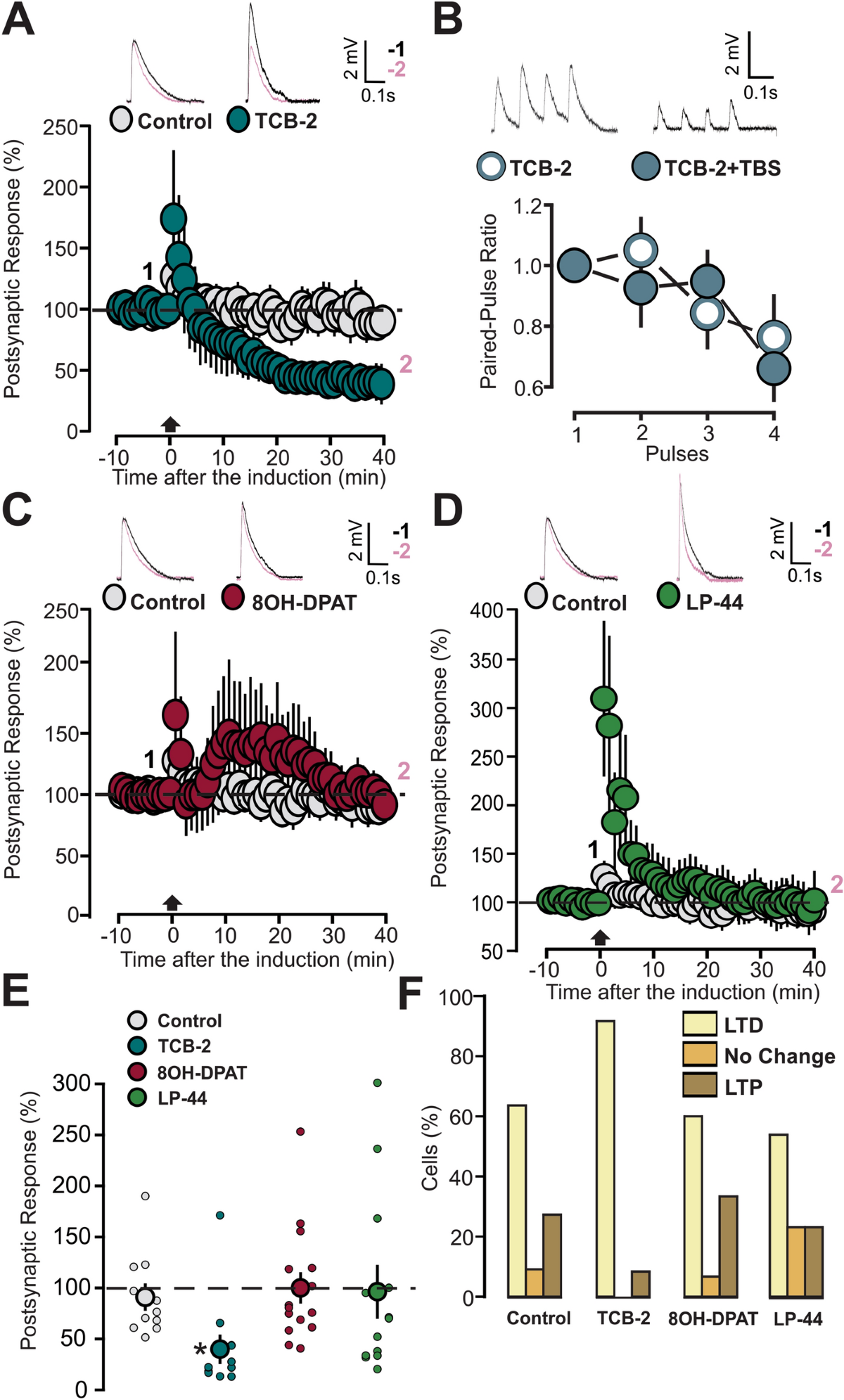 5-HT-dependent synaptic plasticity of the prefrontal cortex in postnatal  development | Scientific Reports, image size:1200x1991