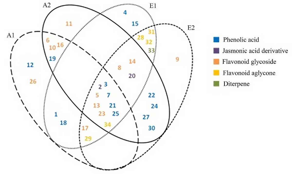 Bioactivity and phenolics profile of aqueous and ethyl acetate extracts of  Satureja kitaibelii Wierzb. ex Heuff. obtained by ultrasound-assisted  extraction | Scientific Reports, image size:1200x716