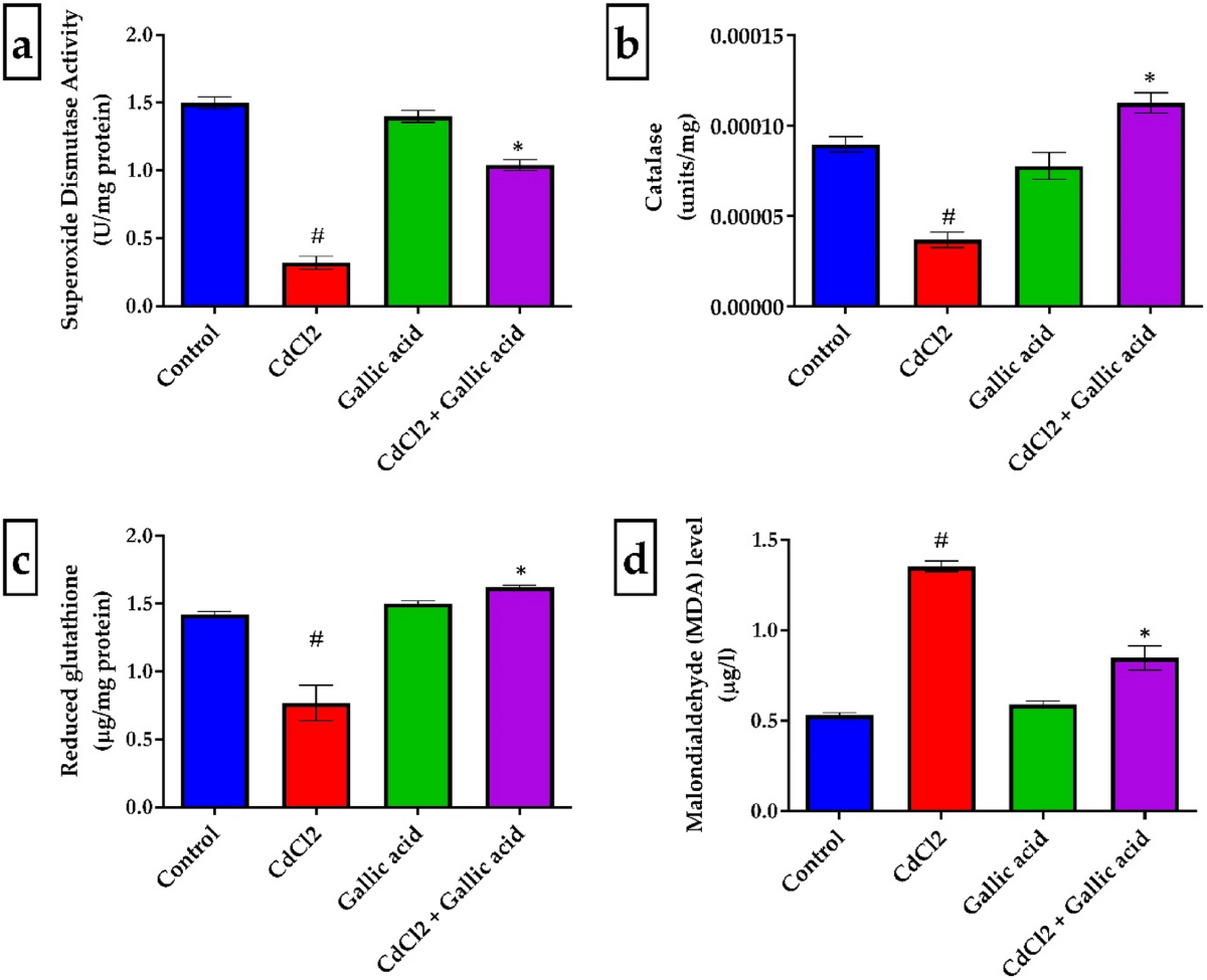 Gallic acid abates cadmium chloride toxicity via alteration of neurotransmitters and modulation of inflammatory markers in Wistar rats